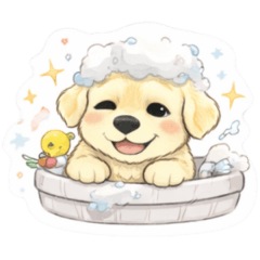 Puklook Mha-Noi Happy Day!