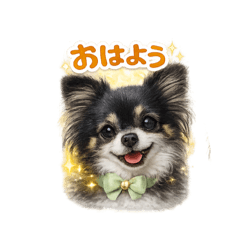 mi-mi2525_20260128193005