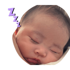 choco_20260128225549