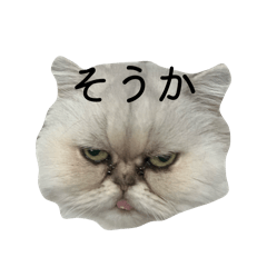 Elena_20260128225815