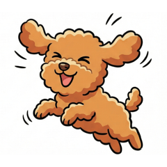 貴賓狗 _小貴_各種情緒表情篇