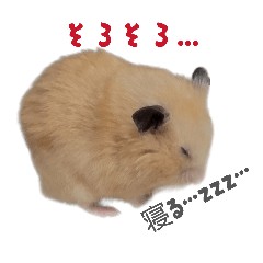 yuyuyu_20260128225921