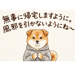 creatorname_20260128200353