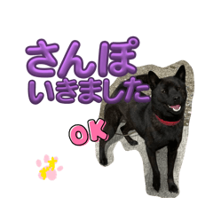 miyuu_20260128201938