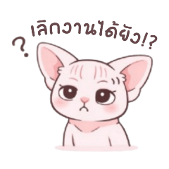 Pink Sphynx Cat Office Life