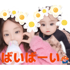 Yuccha_20260129014407