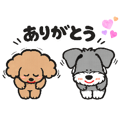 (c)nene_20260129021259