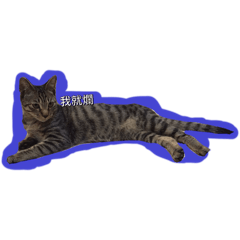 嚕嚕（LuLu)貼圖
