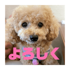 Natsuki_20260128223751