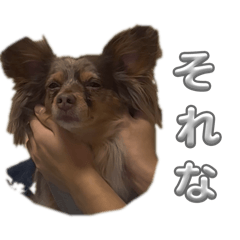 Anita_20260128224647