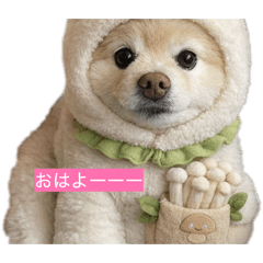 runa_20260128224951