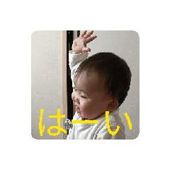 shimizu_20260129113305