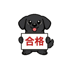 katumi tsuruta_20260129125922