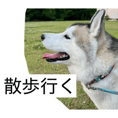 Milan_20260128200947