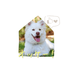 Kyoko_PC Lesson Animal Stickers