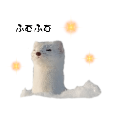 Alice_20260129010632