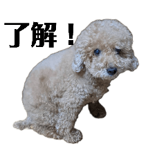 HIDEKI_20260129010358