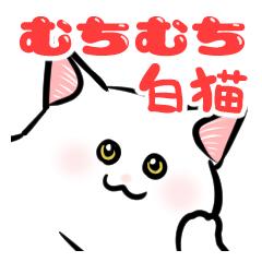 Plump white cat for a reply