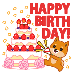 柴犬「ムサシ」65 誕生日&季節イベント