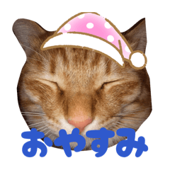 LALAN_20260129084513