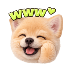 KOROMO BABY AI STAMP