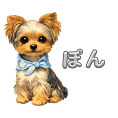 coco&nico_20260129091041