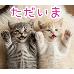 PAKAMOGOLY_20260129100442