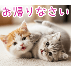 PAKAMOGOLY_20260129100952