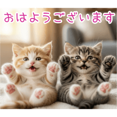 PAKAMOGOLY_20260129101140