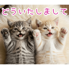 PAKAMOGOLY_20260129100642