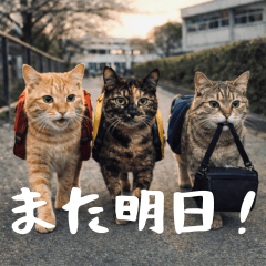 Xaohua & Friends: Cute School Life Cats