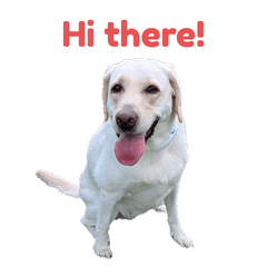 Rescued Labrador stickers (English)