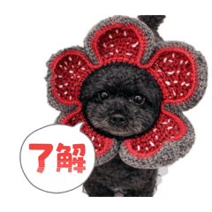 rieko_20260129122233