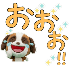 Moving Polite Saint Bernard  12th