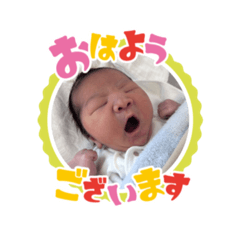 hatsu_20260129112420