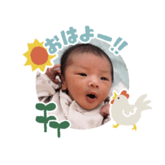 kenpi_20260129112525