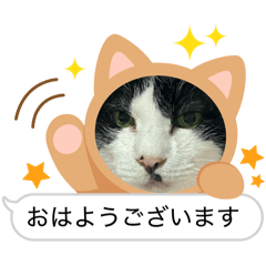 marimn1207_20260129143804