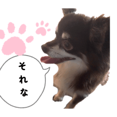 amane_20260129150250