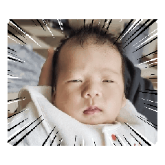 Ayumi_20260129105538