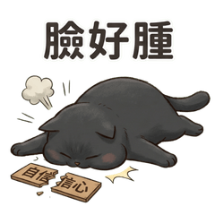 貓貓現世報：迴力鏢日常