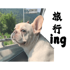 小寶的生活喜怒