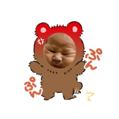 ichii_20260129142754