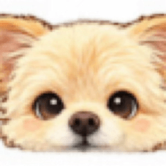 coco.kugi
