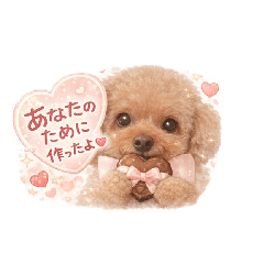runa_20260129113946