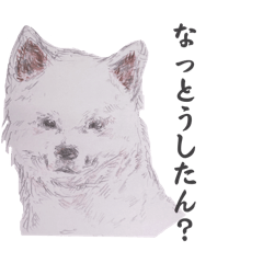 wakayamaben(kainankoukouseisaku)