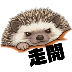 三丑寶（究麥ll)