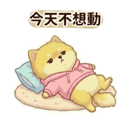 小黃博美:小食量大脾氣的日常