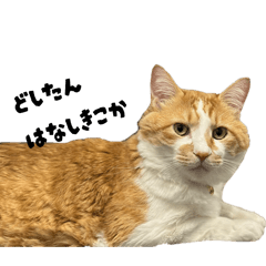 daikon_20260129190807