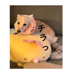 yutsu.0127_20260129193154