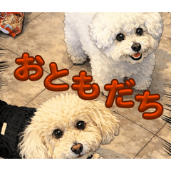 ririy_20260129200103